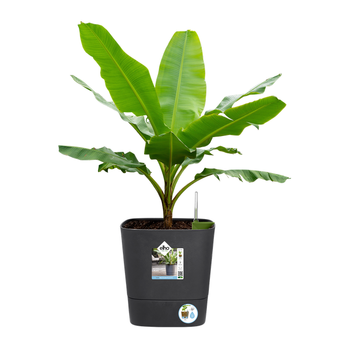 greensense aqua care quadrat 30cm holzkohlengrau